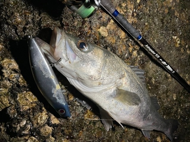 Hummingbird original / Blue shogun metal