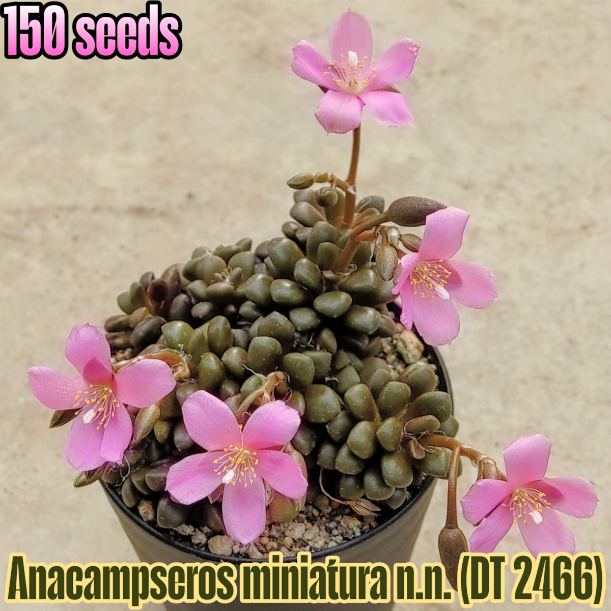 0bb4fcfed484cabefecffbe806bd73