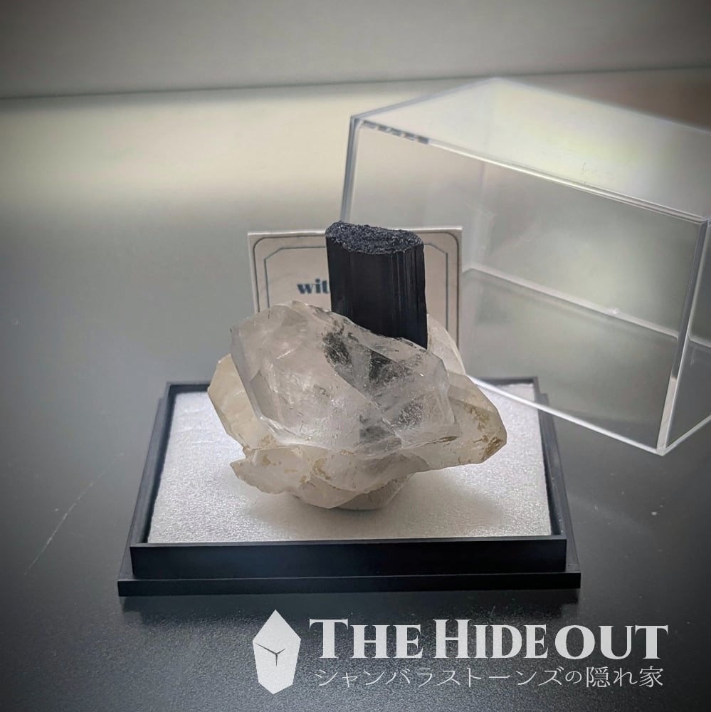 ヒマラヤ産鉱物原石標本029 タプレジュン地区産ショールトルマリン