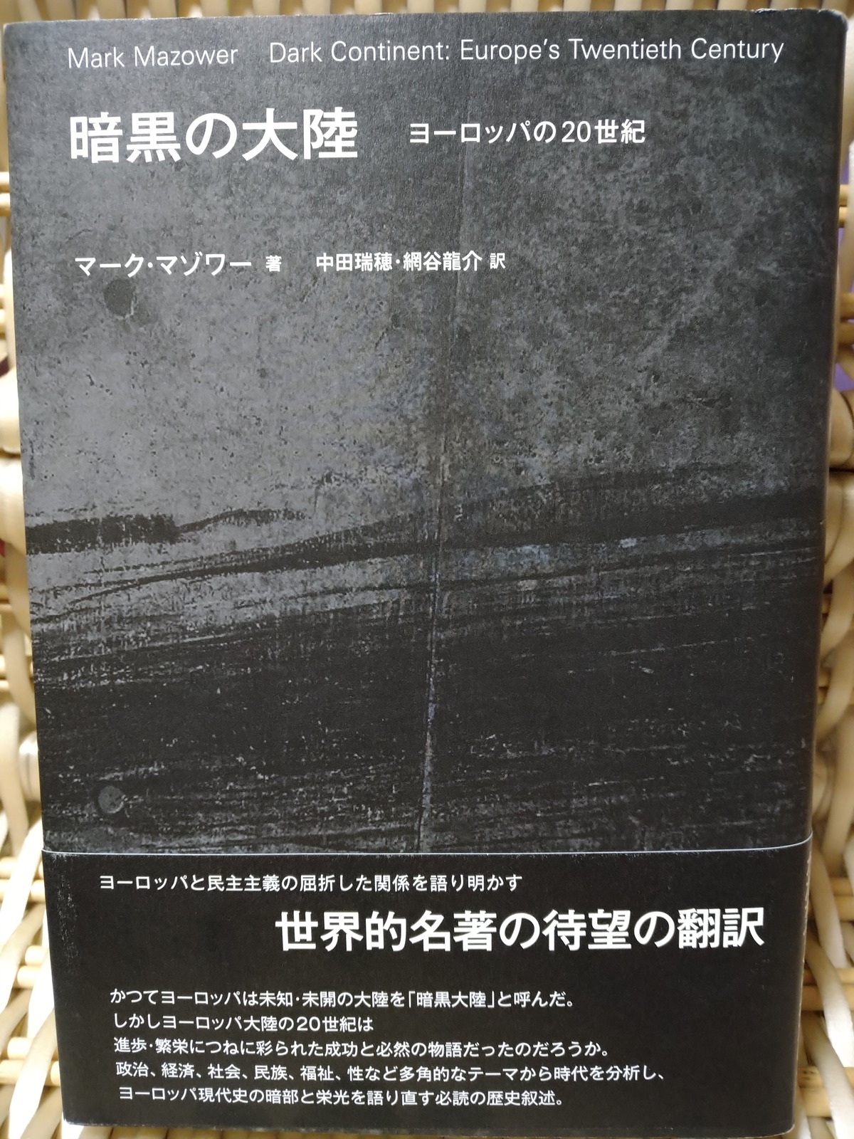 暗黒の大陸 ヨーロッパの20世紀 マーク・マゾワー著 中田瑞穂・網谷龍介訳 ツルモモ