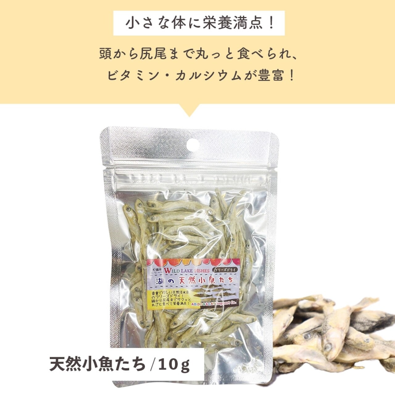 ※訳アリ商品【フリーズドライ  天然小魚たち10g 】天然淡水魚！フリーズドライ猫用トリーツ,ネコポス対応！（全国330円）
