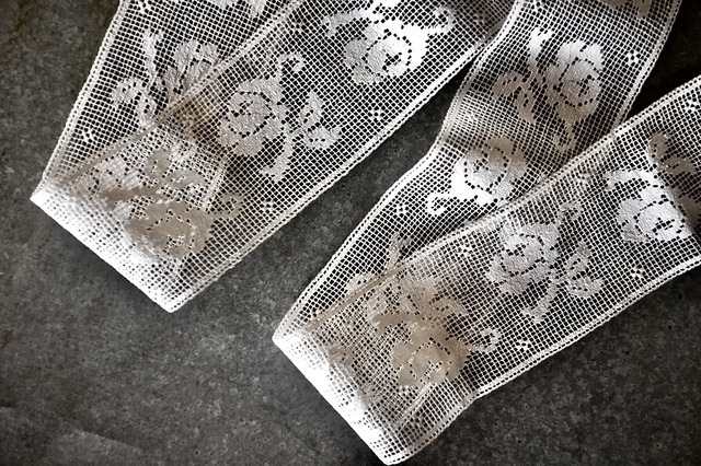 フランス 1900s 古薔薇たちのフィレレース  100x9c アンティーク r48mn