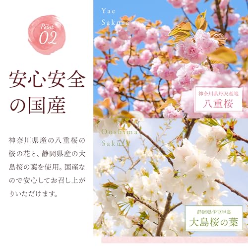 美味伝承ヤマサン 桜パウダー 国産 製菓用 料理用 エディブルフラワー