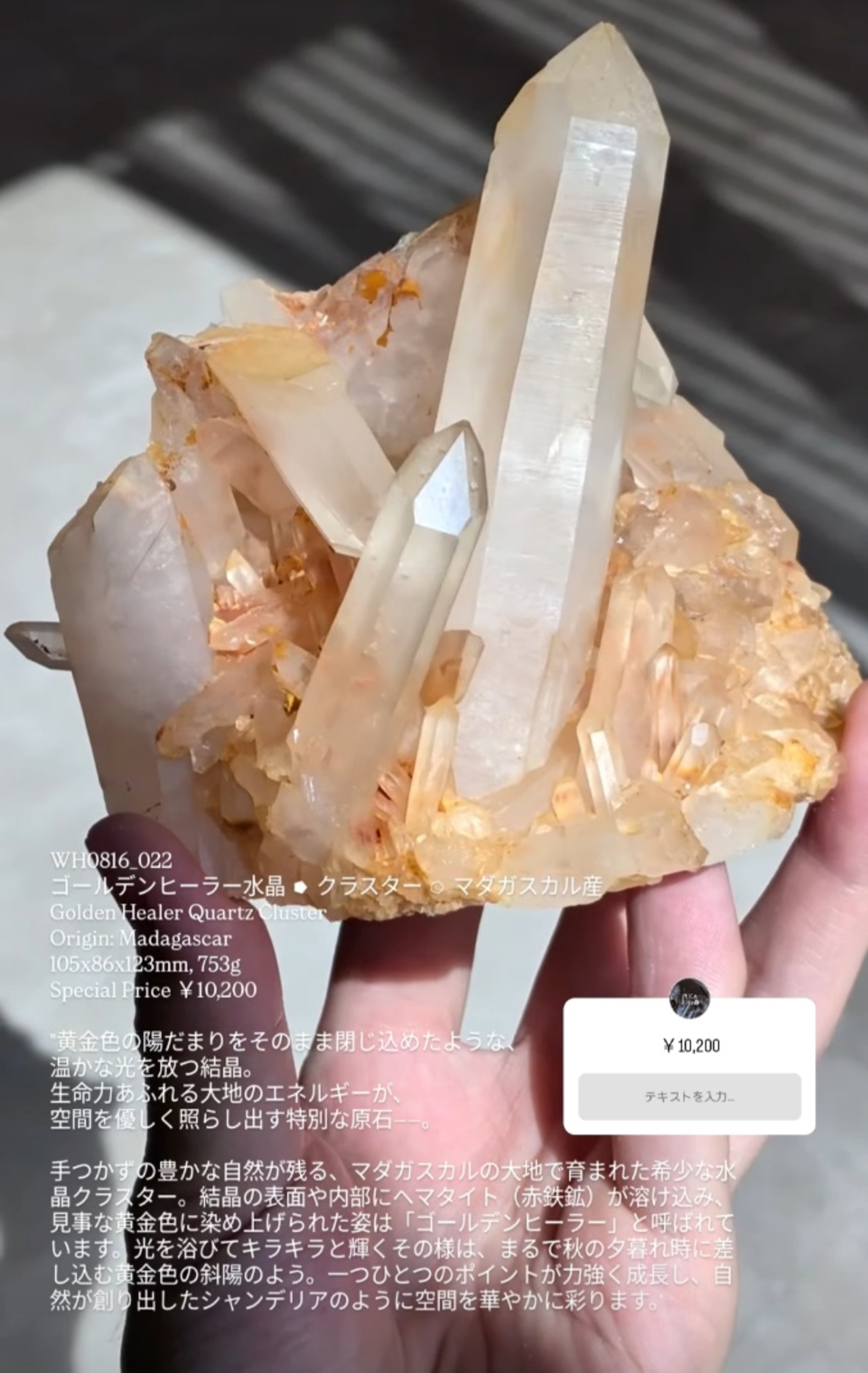 ⭔ お客様専用ページ ✦ ufufunikki