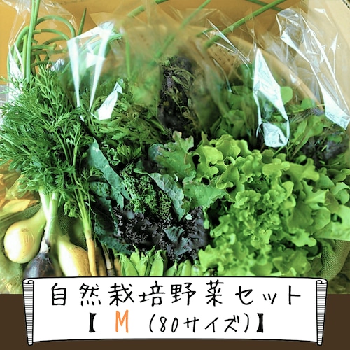 信州産 自然栽培『野菜セットM』80サイズ（農薬、肥料不使用）