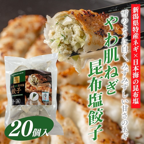 【新潟県特産ネギ×日本海の昆布塩】雪のように白く、みずみずしい甘さ　やわ肌ねぎ昆布塩餃子　20個入り【冷凍】