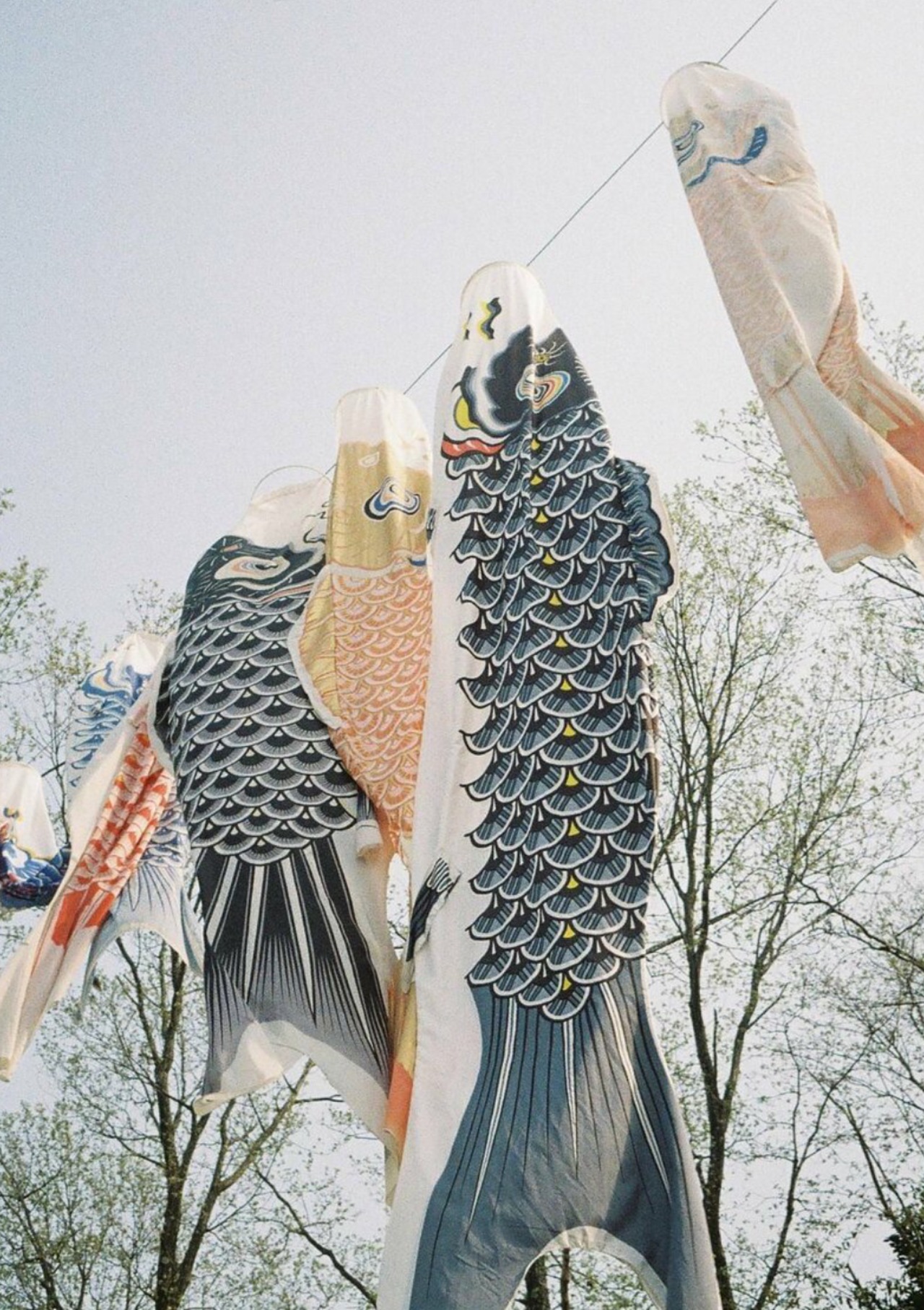 【数量限定】Suikou 水光 Olympus-PEN EES-2