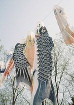 【数量限定】Suikou 水光 Olympus-PEN EES-2