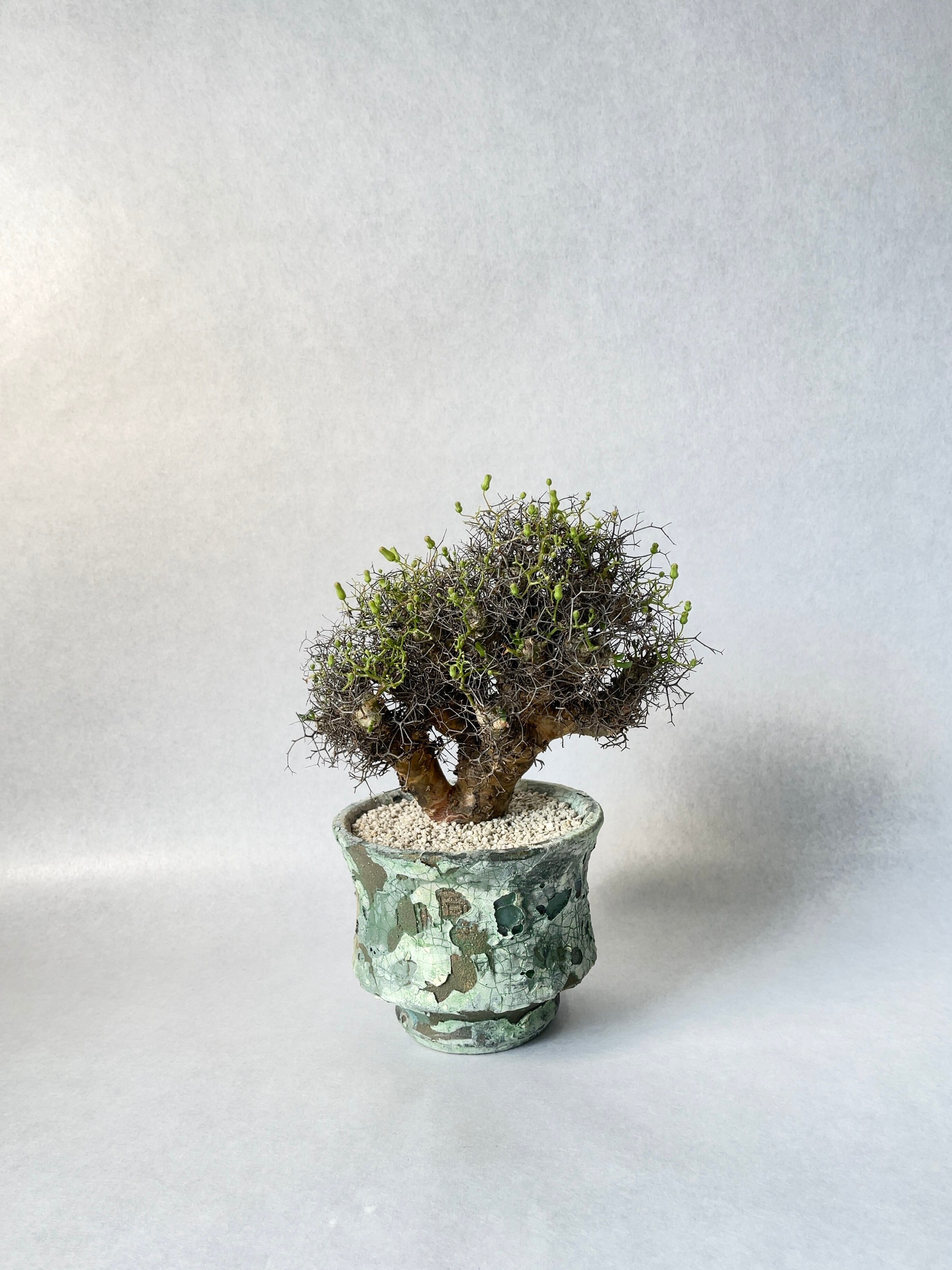 0bcee19470c493d8efcbd31ce61bdf