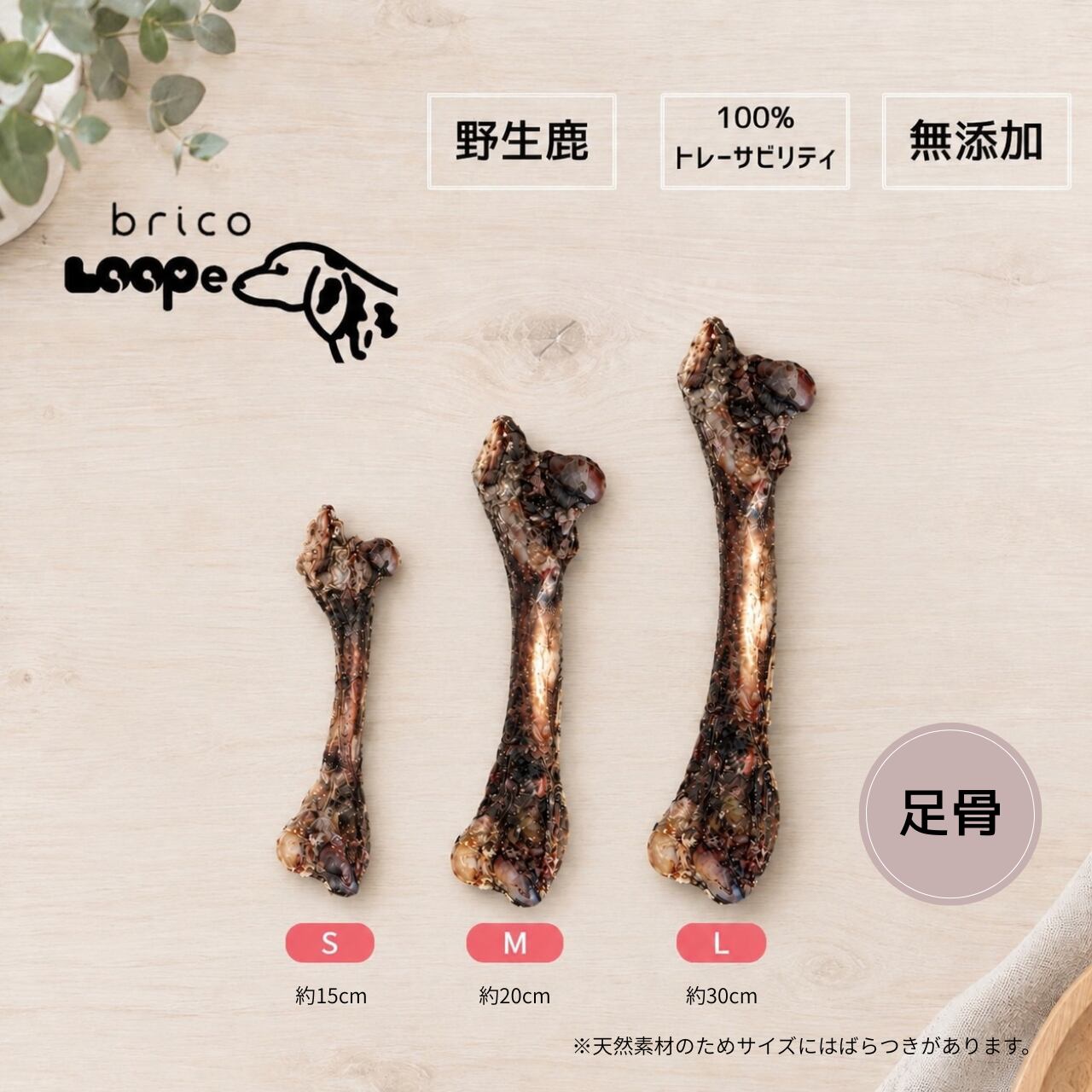 LOOPe(ループ) 足骨 Lサイズ