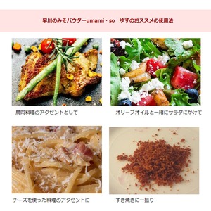 早川しょうゆみそ  早川のみそパウダー umami・so -柚子- ゆず 70g 2本セット 乾燥味噌