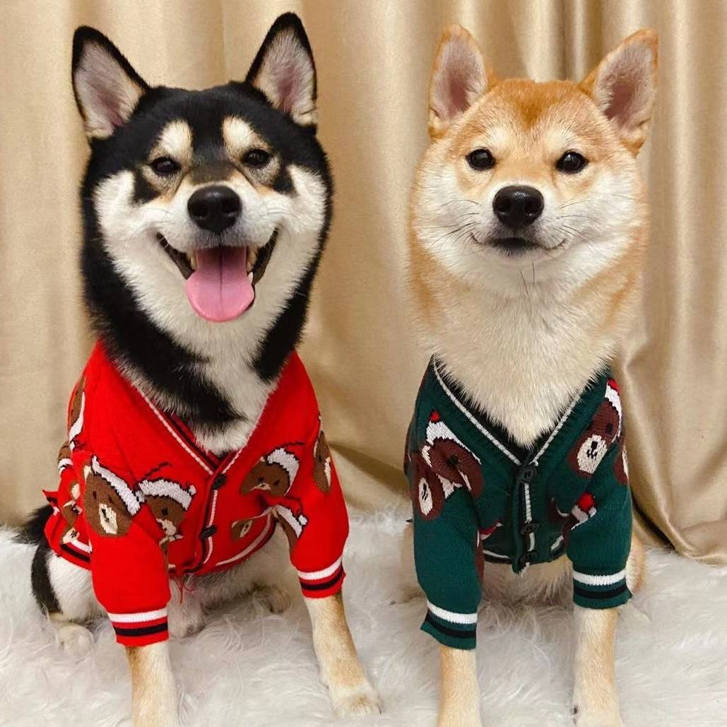 クマさんのクリスマスセーター