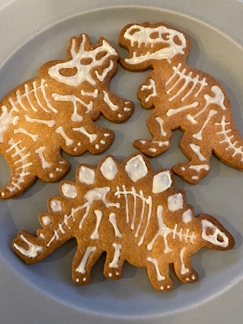 恐竜の化石クッキー 画像