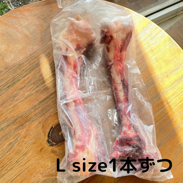 【配送・delivery】鹿の生骨L   1本