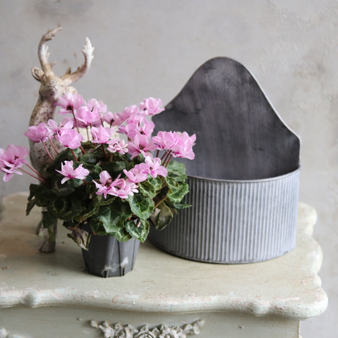 ブリキ植木鉢 　ブリキウォールラウンドポットS　シャビーシック　オシャレ　4076