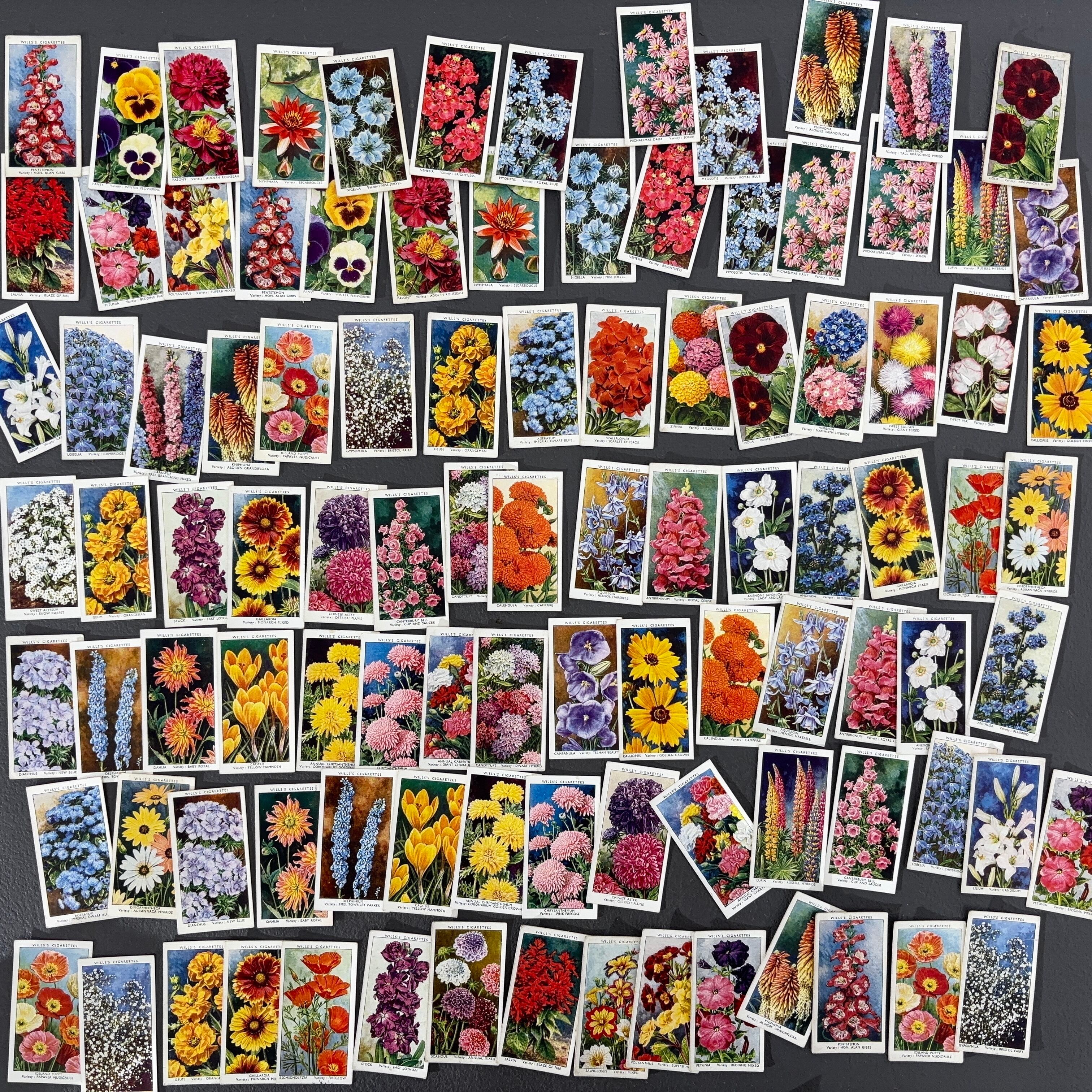 古い紙もの | べるりんのーと ANTIQUE & VINTAGE