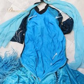 社交ダンス 衣装 スタンダードドレス ドレス ワンピース ファー イングランド製 ベロア 高級感 デモ 競技 ダンス パーティ 発表会 水色 青 黒 ブルー系 ブラック系 ふんわり スカート 女性用 大人用 フェザー コスチューム パーティー衣装 豪華装飾 用 パフォーマンス 発表会用 おしゃれ 競技用 衣装