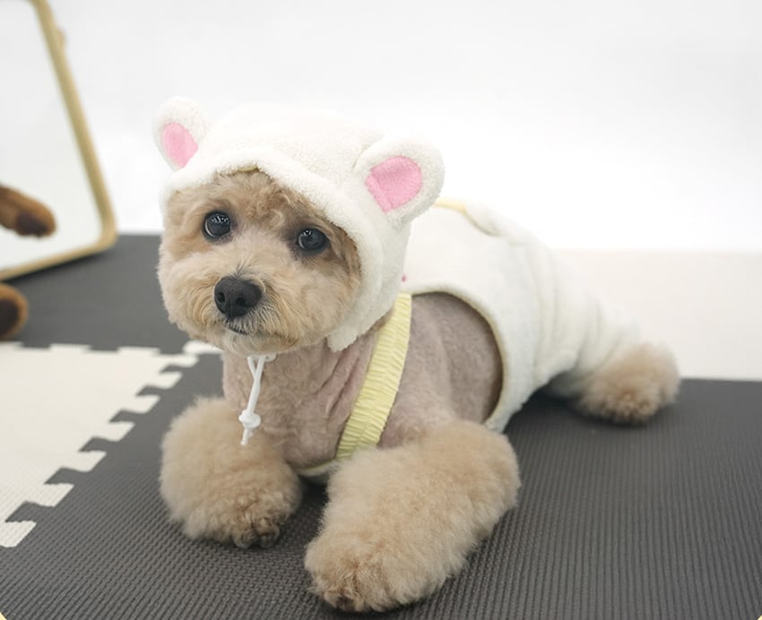 sleepy bear all in one set S ~ XL 2color / 犬服 秋冬 新作 もこもこ フリース オールインワン 帽子 セット 可愛い 犬の服 暖かい ドッグウェア ペット ワンコ服 小型犬 中型犬 猫 ロンパース tsu44