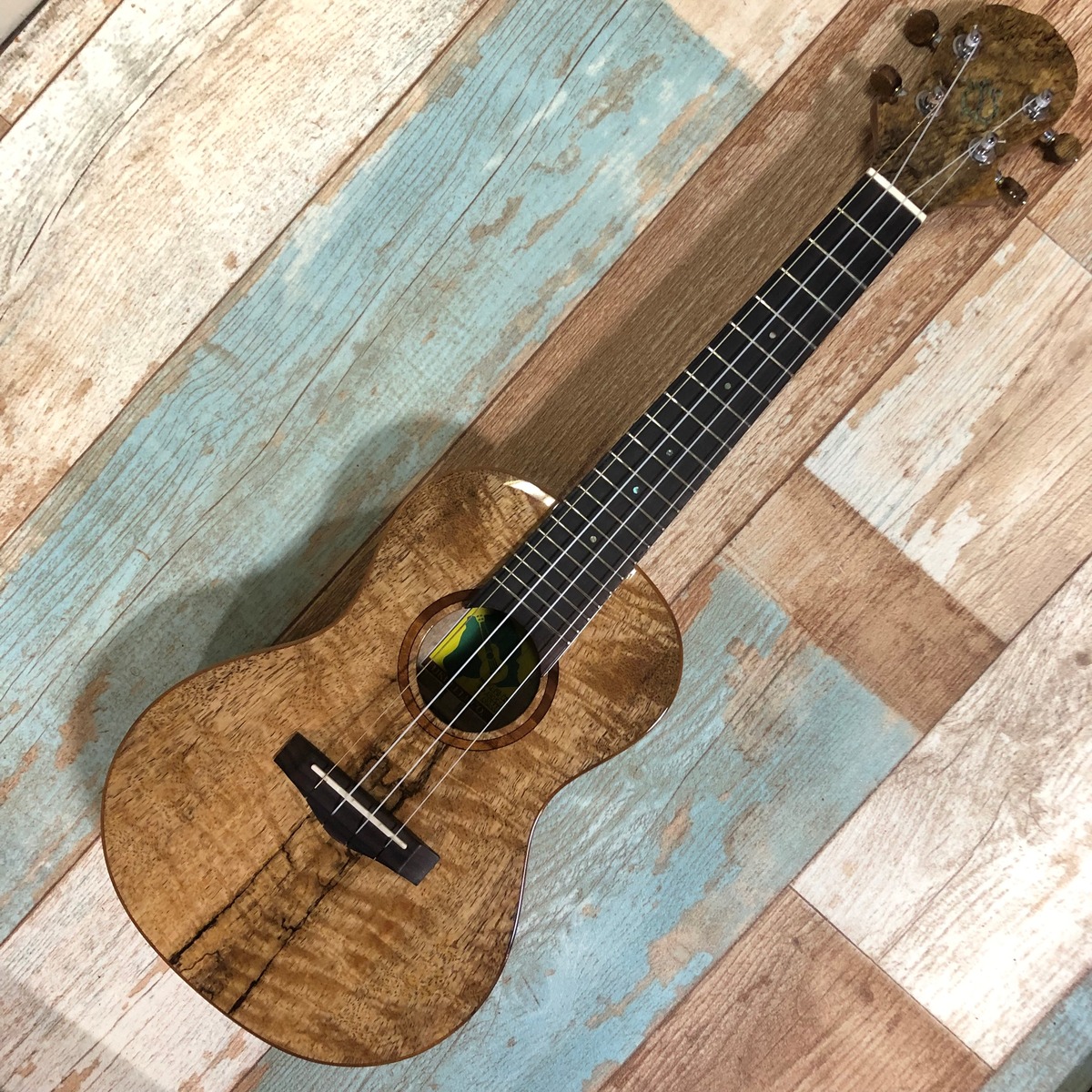 中古 調整済 BIG ISLAND UKULELE U-MO-CTS コンサートウクレレ 純正  