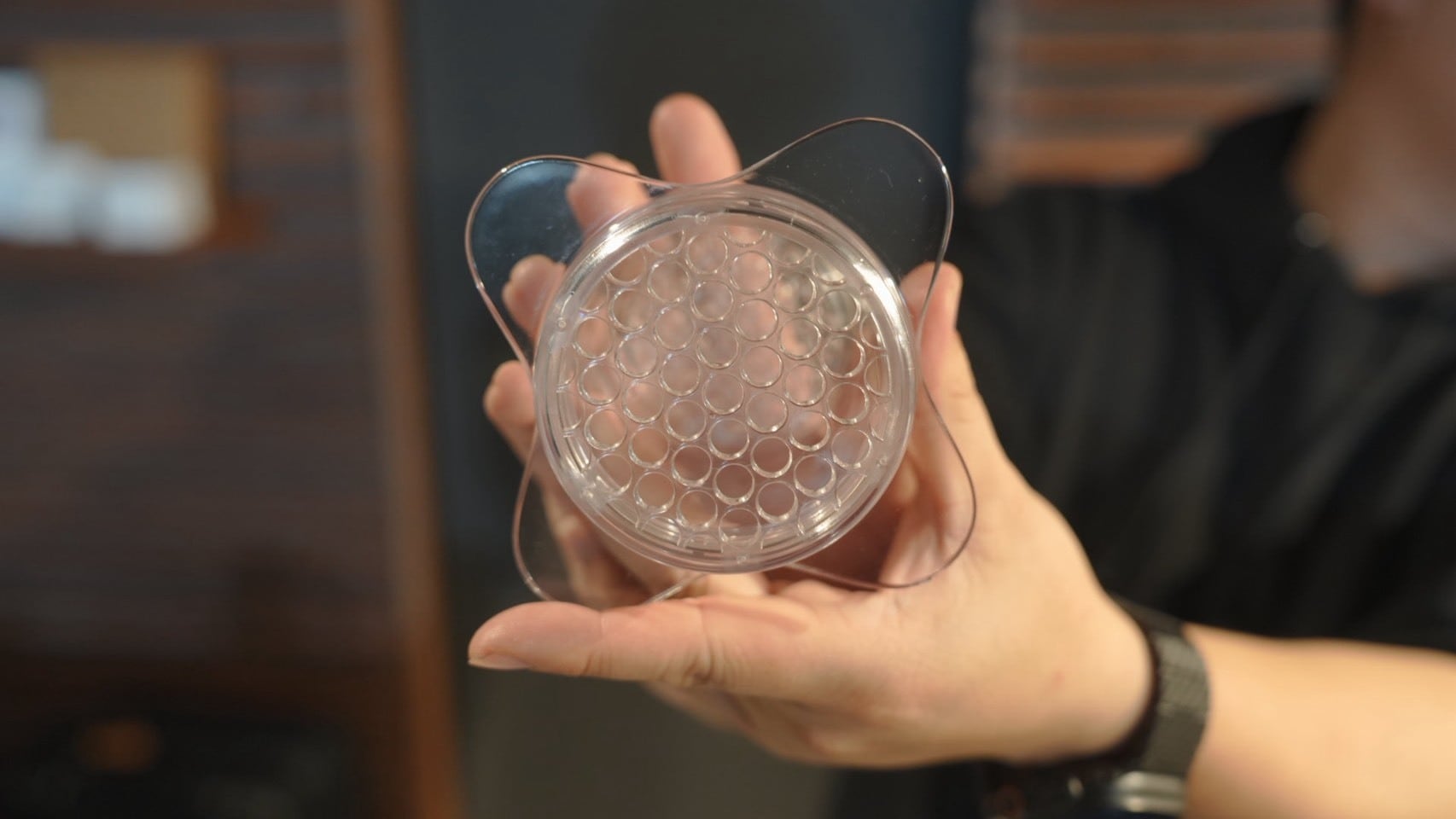 OREA Z1 Brewer ※別途専用ペーパーが必要です。 | 暮らしと珈琲｜豊か