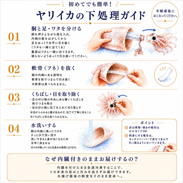 【数量限定】ヤリイカ　4本セット