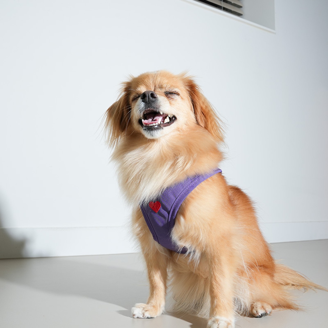 【PUPPYGALLERY公式】オールウェザー防水ハートハーネス L/XL