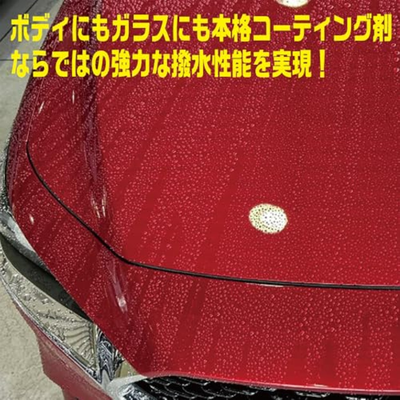 ソフト99(SOFT99) 洗車 カーシャンプー コーティング剤 ALAUNEN バチバチアップ ウォッシュ＆コート 撥水 耐久 3か月 ボディ コーティング ワンハンド 02904