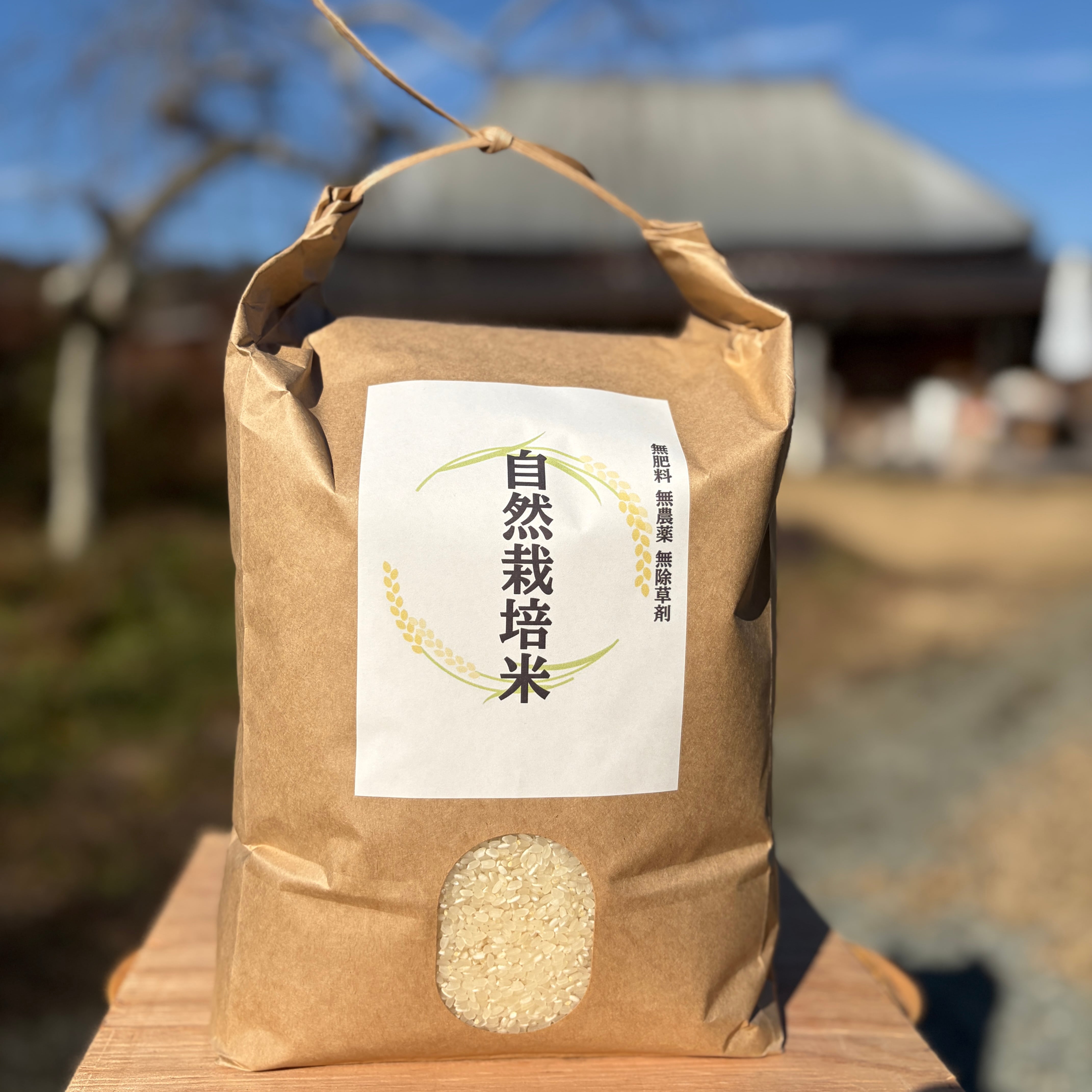 神宝塩 特大(3kg) | みつのもり