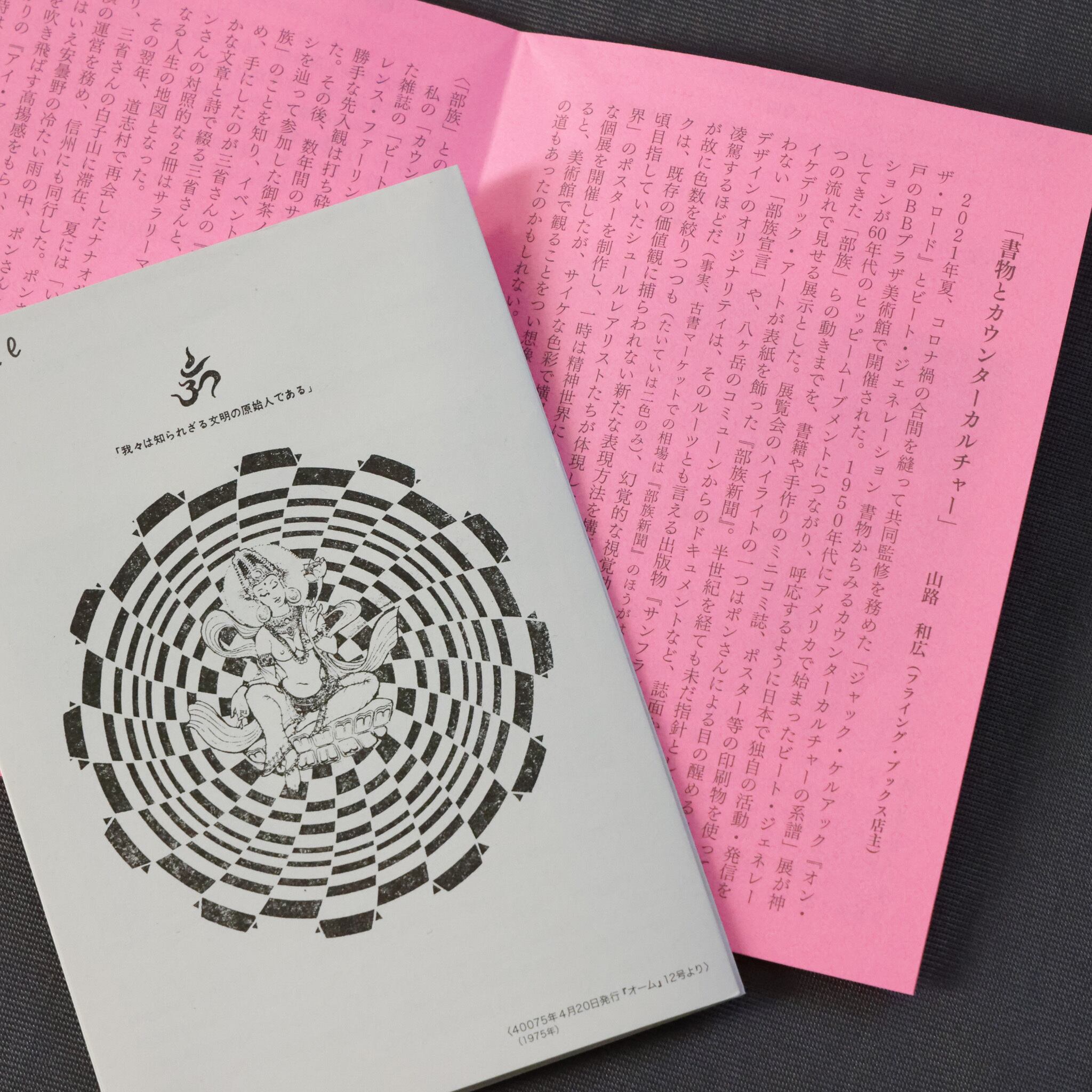 アイ・アム・ヒッピー 日本のヒッピー・ムーブメント史'60ー'90（増補