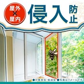 アース長持香 蚊取り線香 ビャクダンの香り 50巻缶入 線香立て付き 蚊 駆除 忌避 長時間 屋内 屋外 蚊よけ 蚊とり 侵入 対策