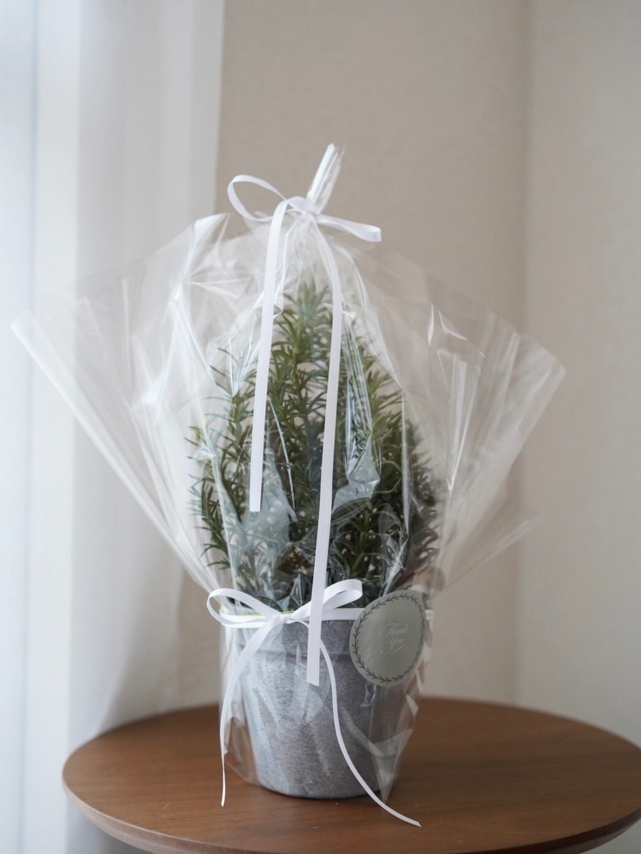 ローズマリー 鉢付き セメントポッド フェイクグリーン