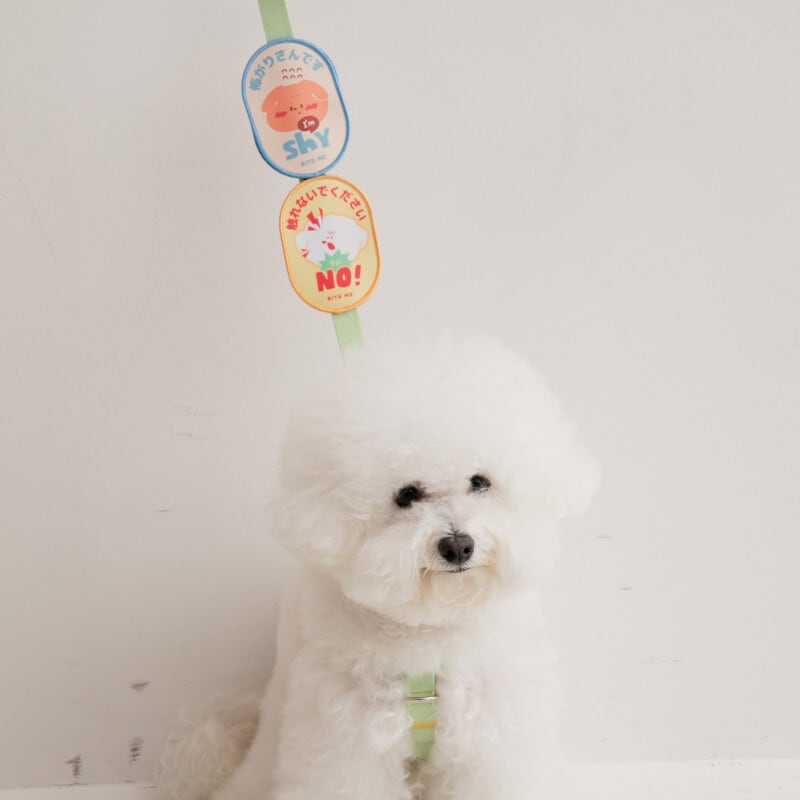 【BITE ME】お散歩メッセージワッペン [YES]  ワンちゃんの気持ち、このワッペンが代弁します！