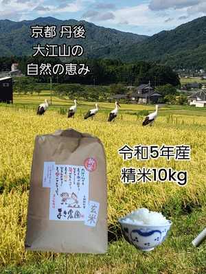 令和5年産(精米済)【10kg】