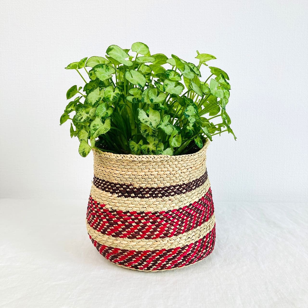 イリンガカラフルかご レッド