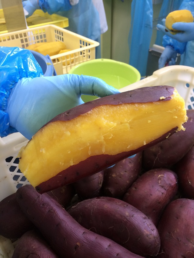 【送料無料】いっぷく堂・熟成干し芋100ｇ×6袋 ※送料込（北海道・沖縄除く）