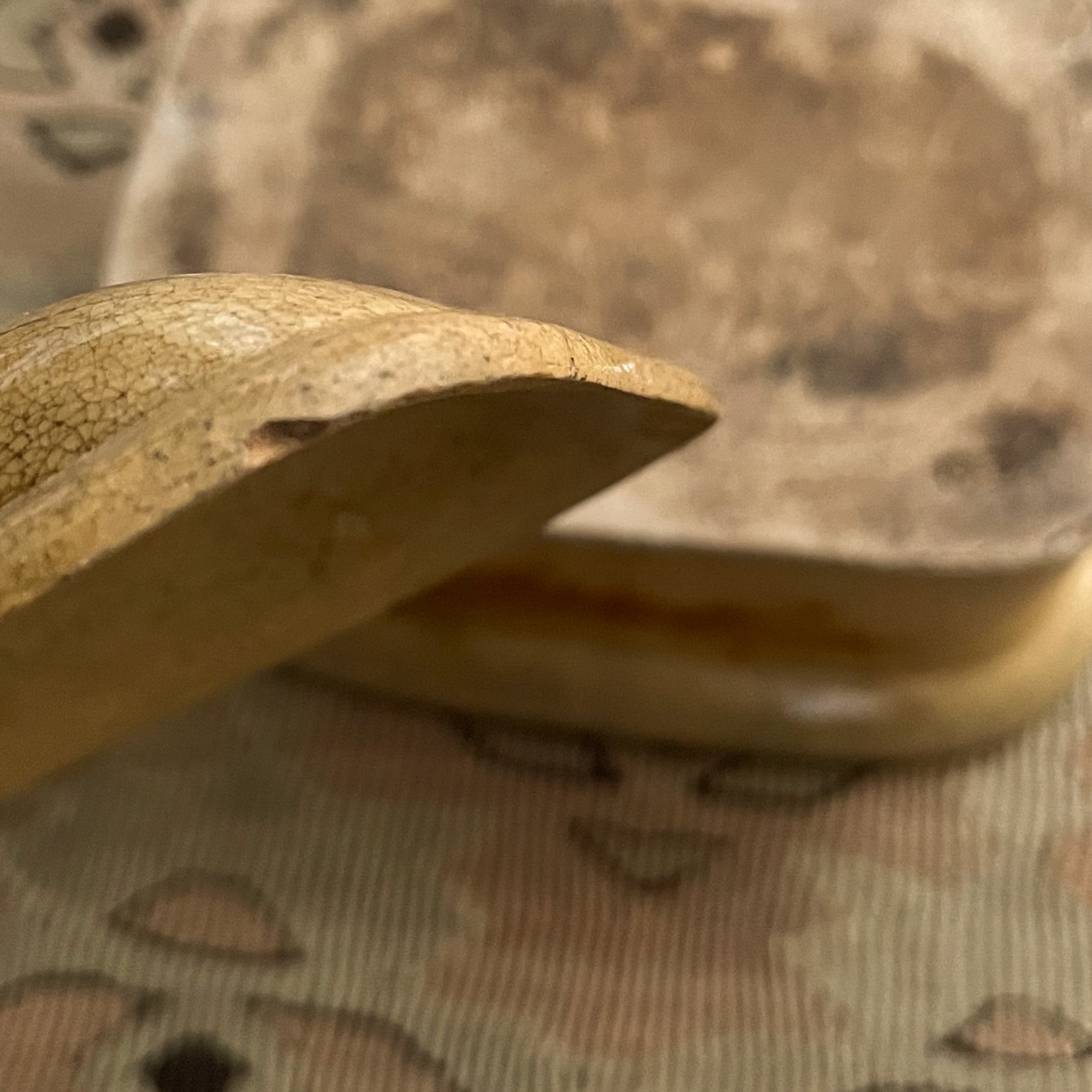 フランス スクエア型 テリーヌポット | SASHIIRO