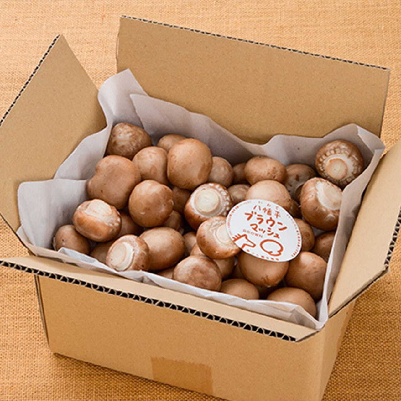 マッシュルーム 0bf87f0230446ef9f38dbbc9b60e33