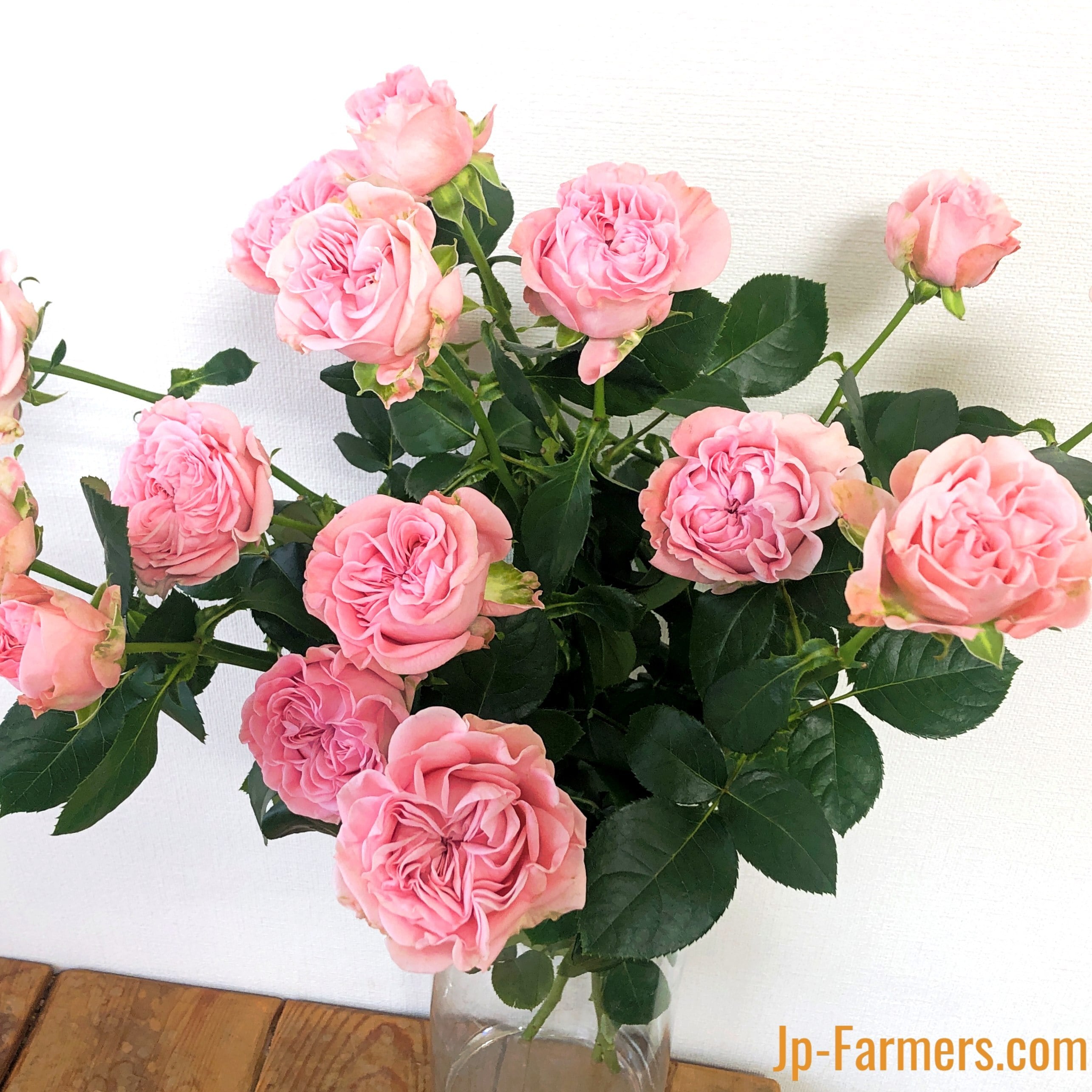 0bf9969edc8c1c2a3a9e39e3273ebc