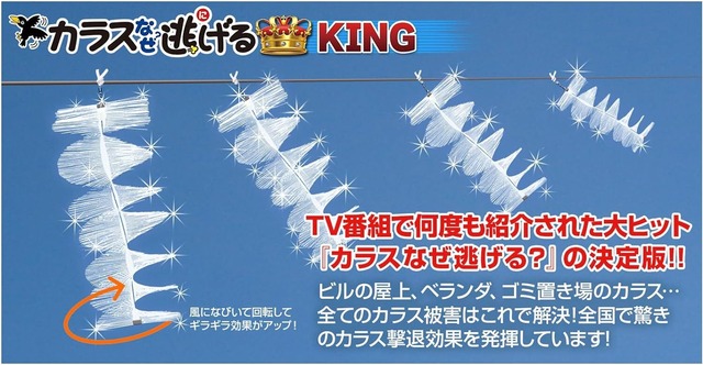 カラスなぜ逃げるキング１０個セット カラス 撃退 カラスよけ カラス対策