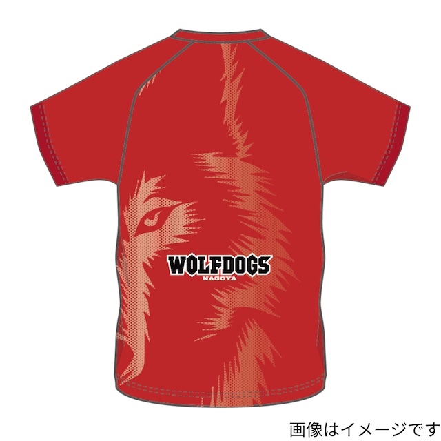 0bf9d0156038fb0cca9b0452fe0f03 0bf9d0156038fb0cca9b0452fe0f03