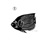 【ステッカー】タテジマキンチャクダイ①②