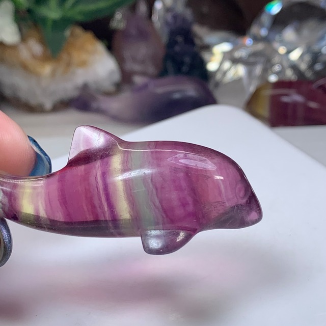 11.癒☆可愛いフローライトイルカさん