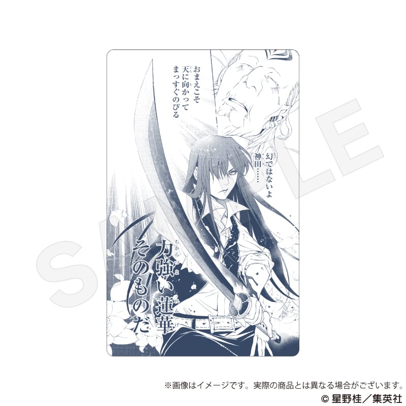 2月発売予定】D.Gray-manトレーディングキャラクターカード | ワイワイ