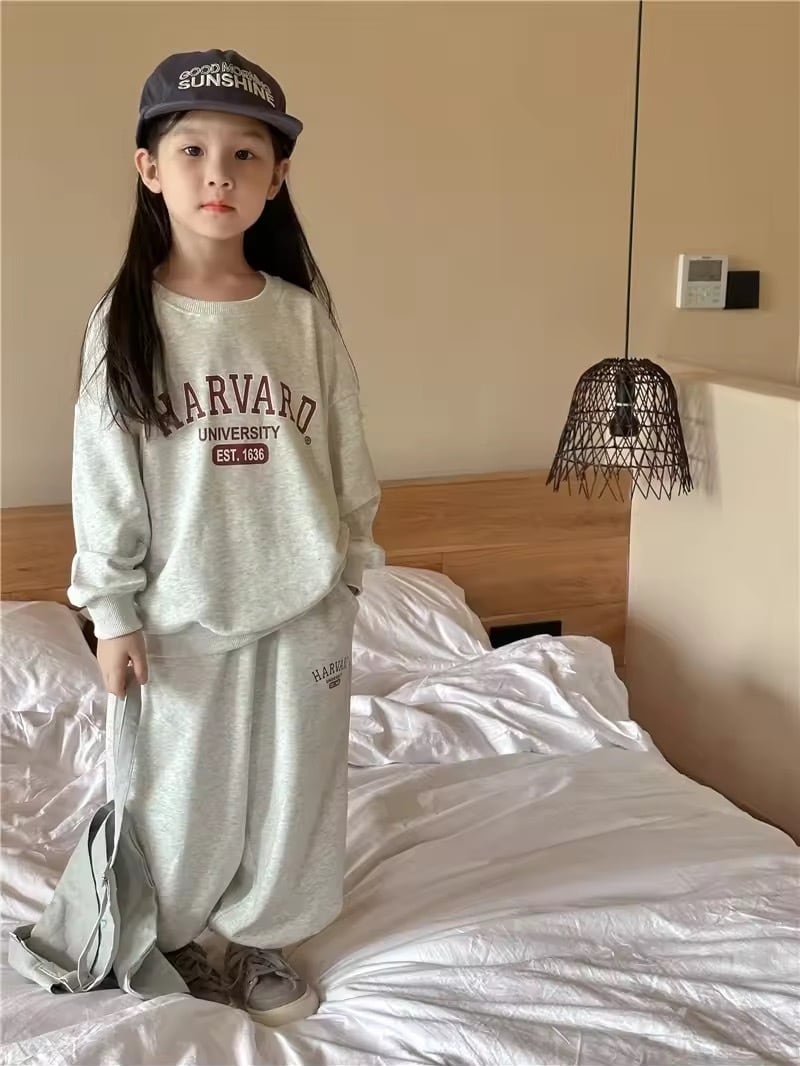 HARVARDセットアップ