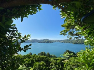 ポンカン【ご家庭用】サイズMIX10㎏（約70個～）