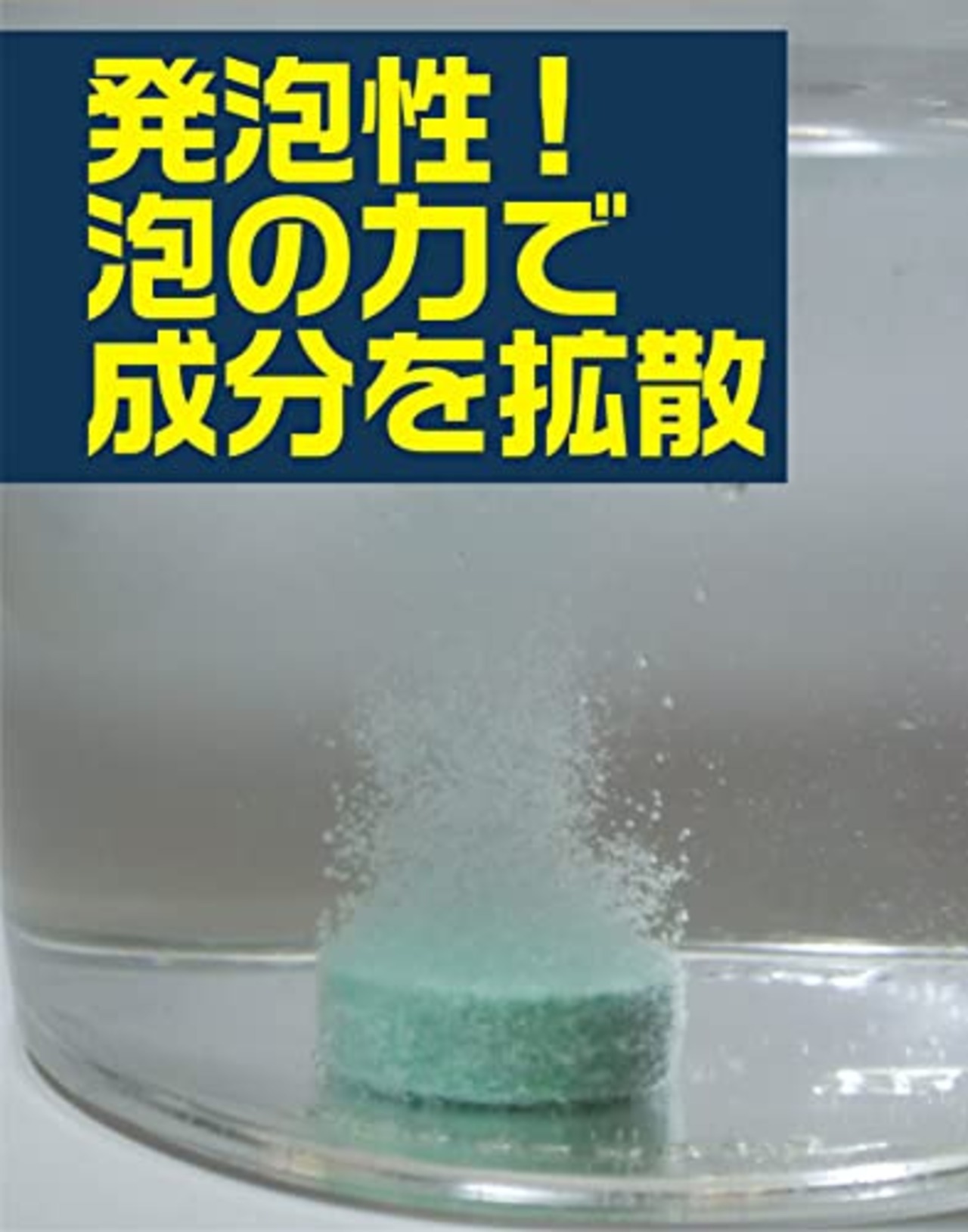排水口 コバエ退治 ヌメリとりプラス 3錠入り