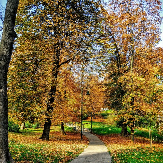 ツムジちゃん専用