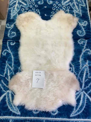 ミルクラムムートン_2025_No.07（2025_白）