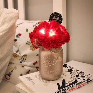 carnation pot LED light 2colors / カーネーション フラワー ルームライト テーブルランプ ポット 花瓶 花 照明 韓国 雑貨