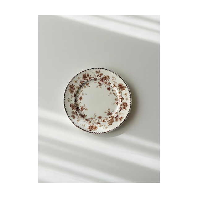 Creil et Montereau 　クレイユモントロー　/  “Mignardise”　brown　デイジーのデザートプレート　b